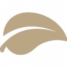 brookridge leaf sand icon transparent