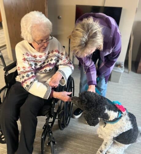 resident and staff petting dog