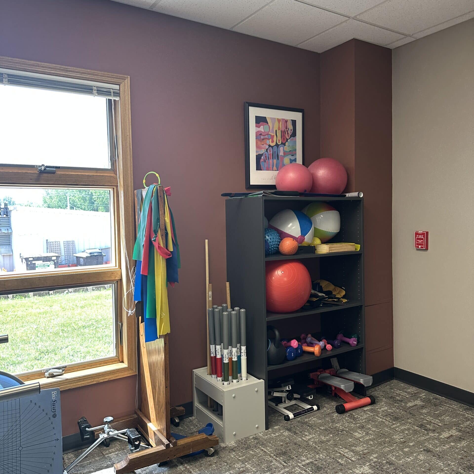 exercise bands and balls
